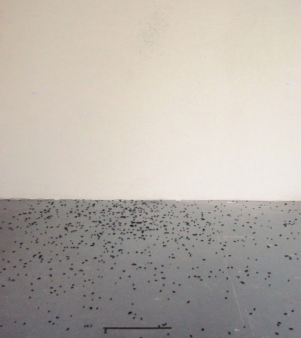 Loin s’en crée, 2005